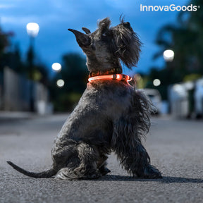 Collar LED para Mascotas Petlux InnovaGoods