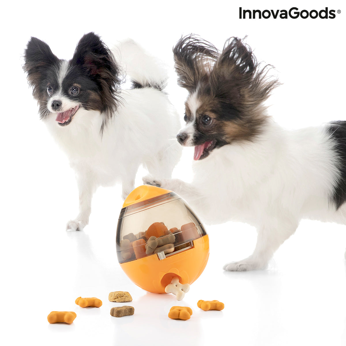 Juguete Dispensador de Premios para Mascotas 2 en 1 Petyt InnovaGoods