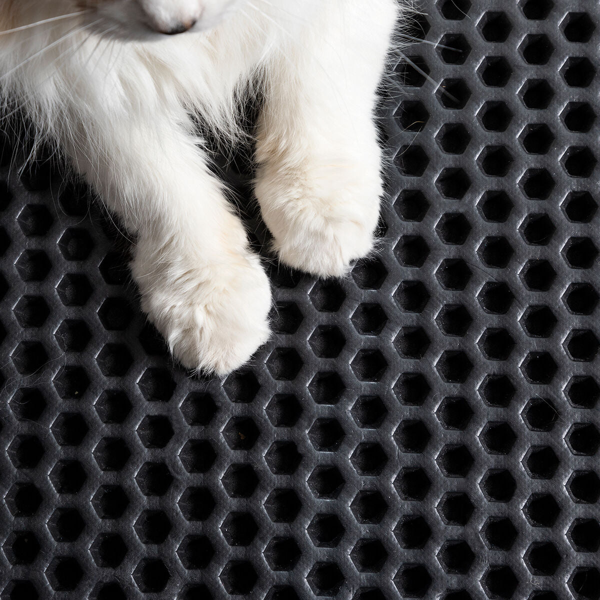 Alfombra para Arenero de Gatos Clikatt InnovaGoods