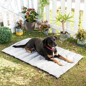 Cama Portátil Impermeable para Mascotas Huismat InnovaGoods