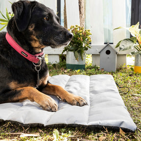 Cama Portátil Impermeable para Mascotas Huismat InnovaGoods