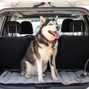 Cama Portátil Impermeable para Mascotas Huismat InnovaGoods