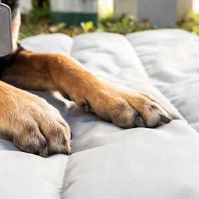 Cama Portátil Impermeable para Mascotas Huismat InnovaGoods